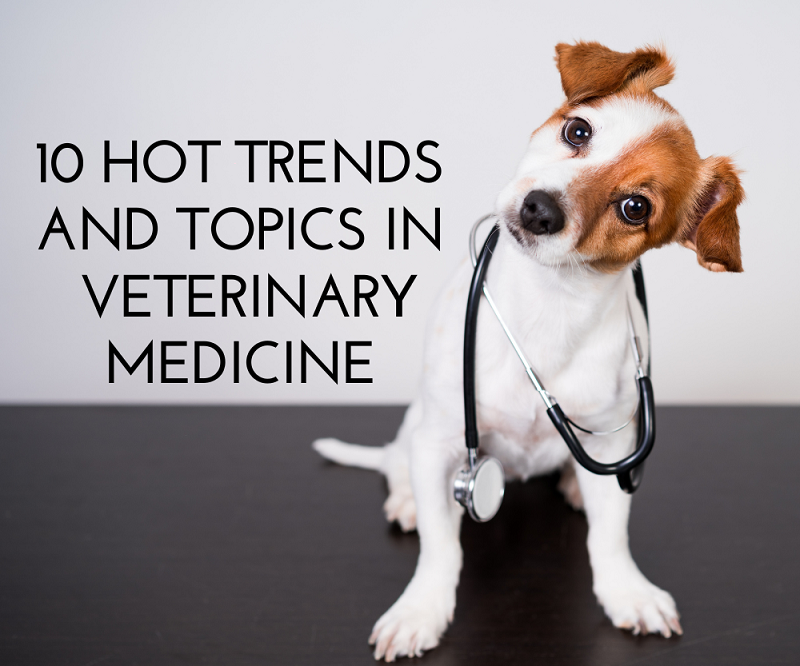 10 Hot Trends and Topics in Veterinary Medicine