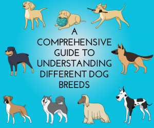 A Comprehensive Guide to Understanding Different Dog Breeds