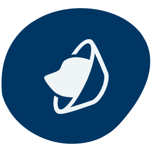pet wellness icon