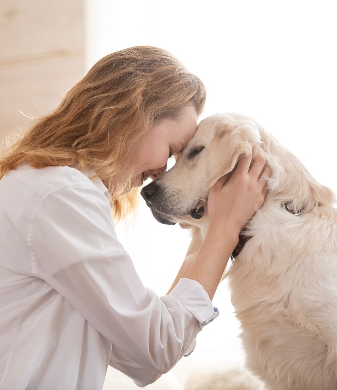 FAQ's Providence Animal Hospital