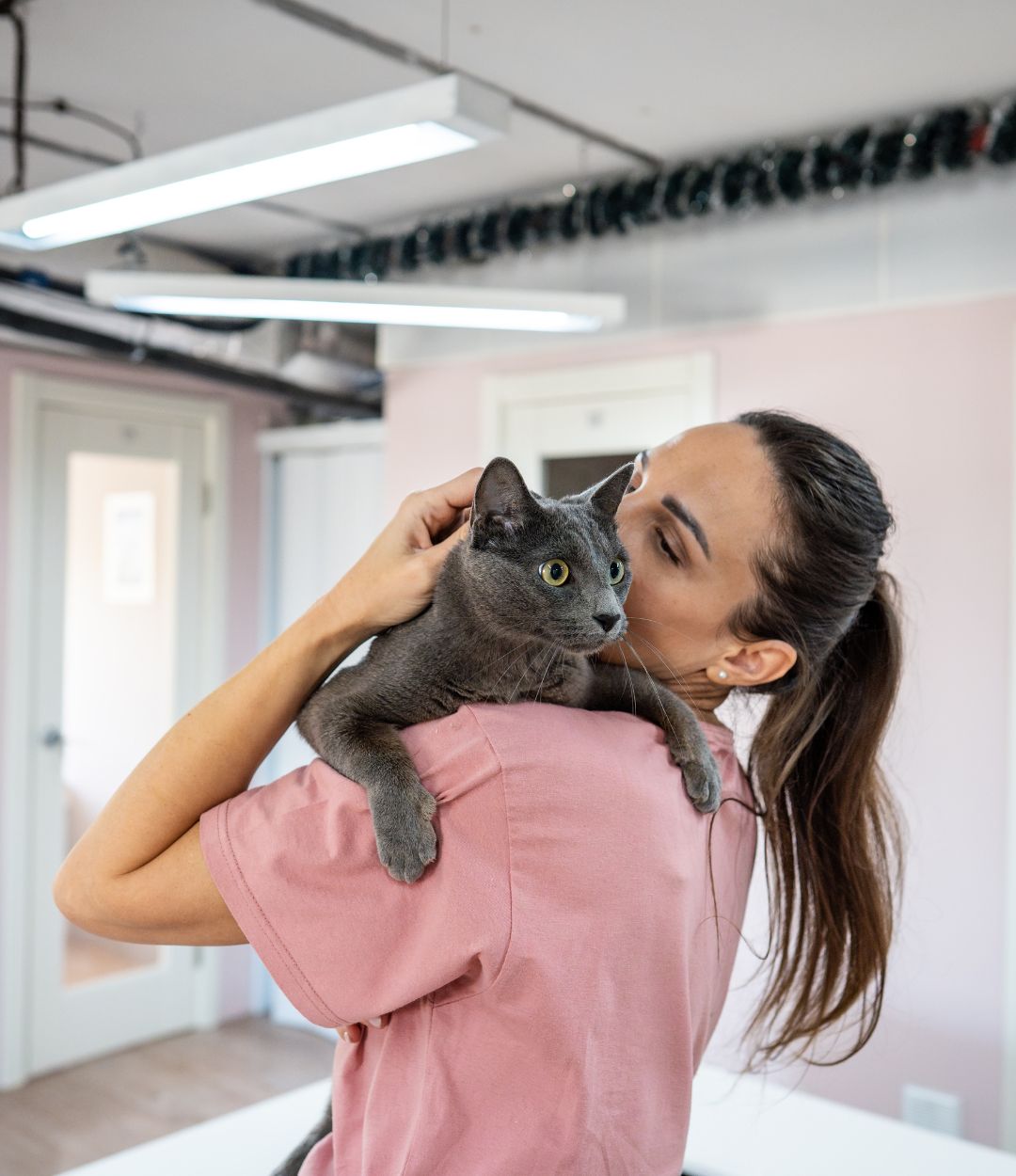 Join Our Team Providence Animal Hospital