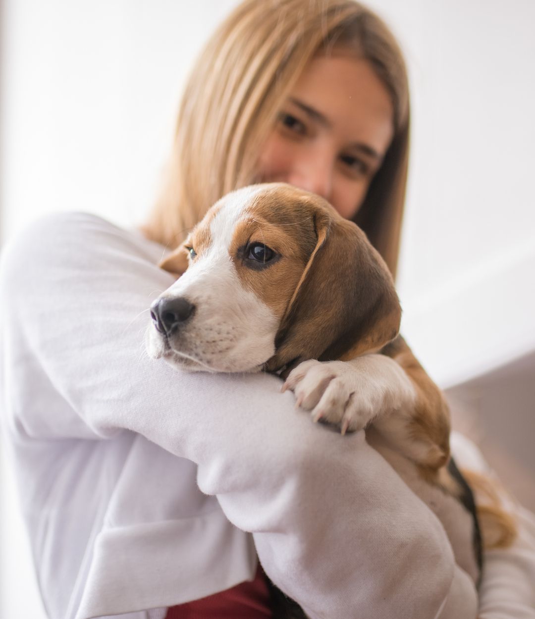 Meet Our Team Providence Animal Hospital