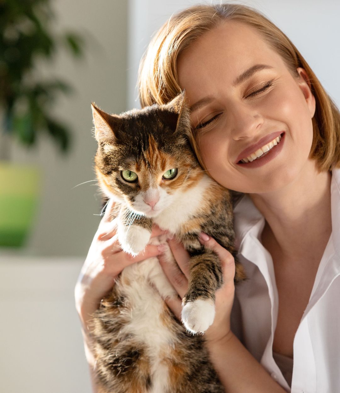 Payment Options Providence Animal Hospital