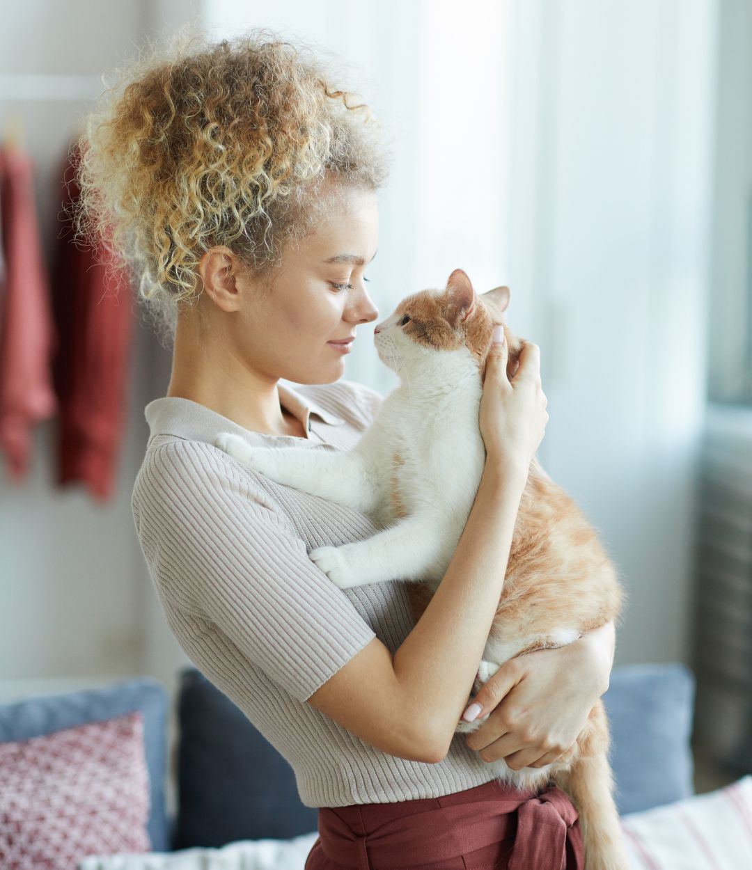 Pet Internal Medicine