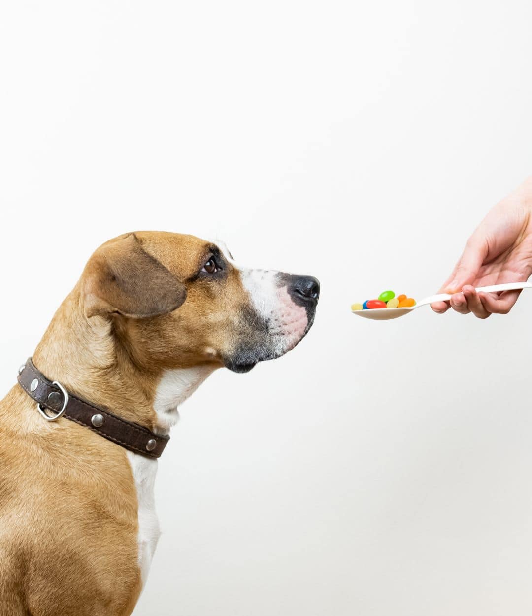 Pet Trusted Approach to Complex