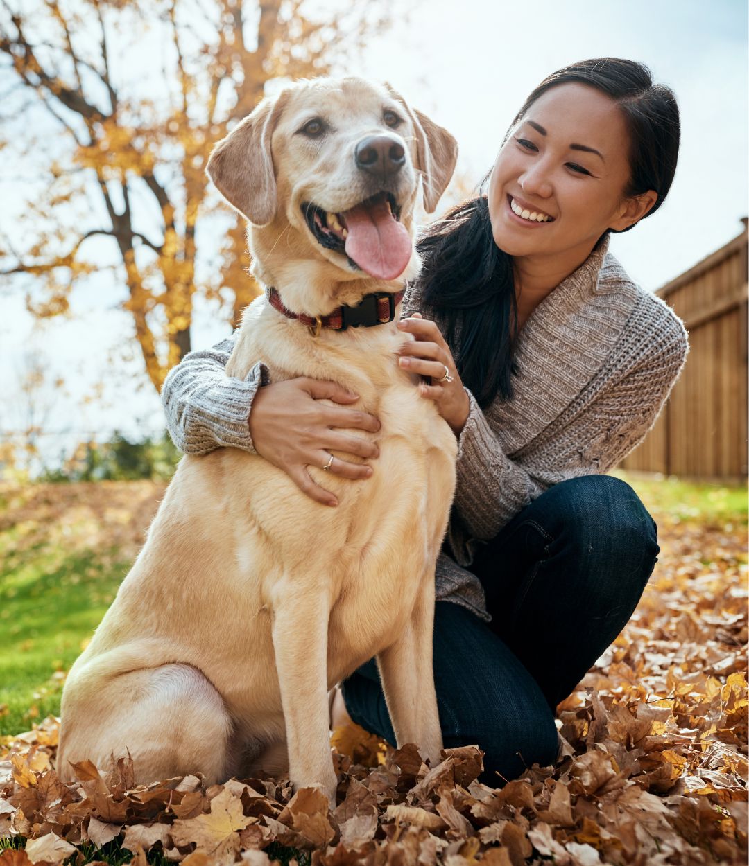 Shop Purina Providence Animal Hospital