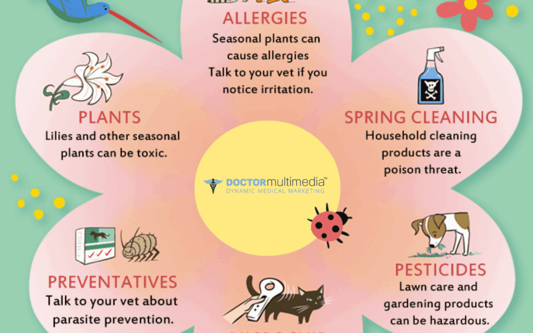 Spring Pet Care Safety